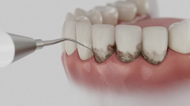 Reliable Dental contractor in Charleston, SC by Dentist Open Now